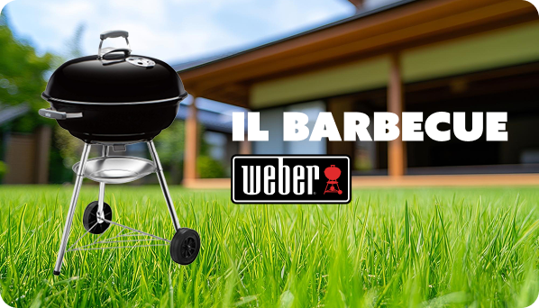 Barbecue Weber